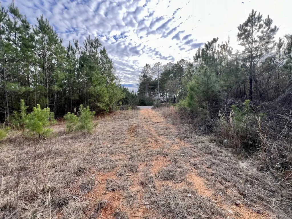 0 County Road 67 Thomasville AL 36769