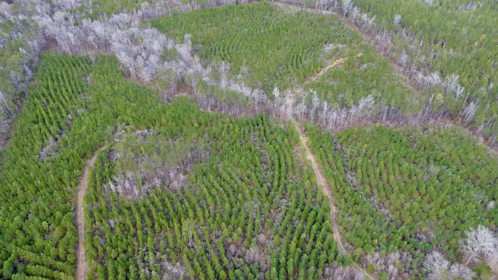 0 County Road 67 Thomasville AL 36769