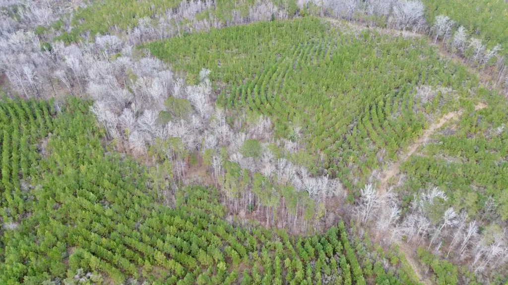 0 County Road 67 Thomasville AL 36769