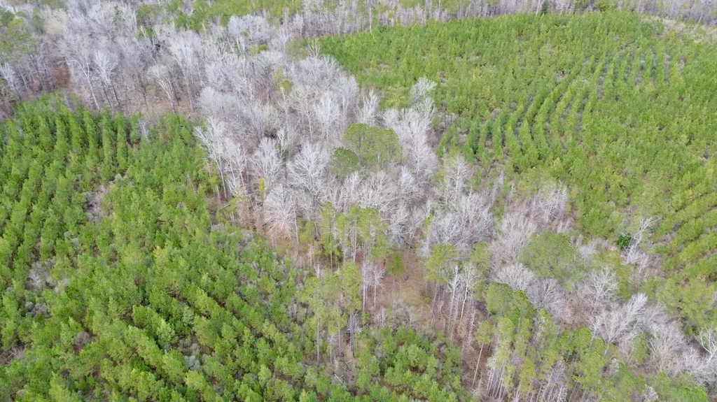 0 County Road 67 Thomasville AL 36769