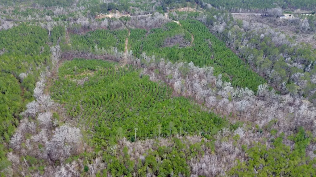 0 County Road 67 Thomasville AL 36769