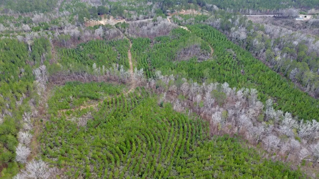 0 County Road 67 Thomasville AL 36769