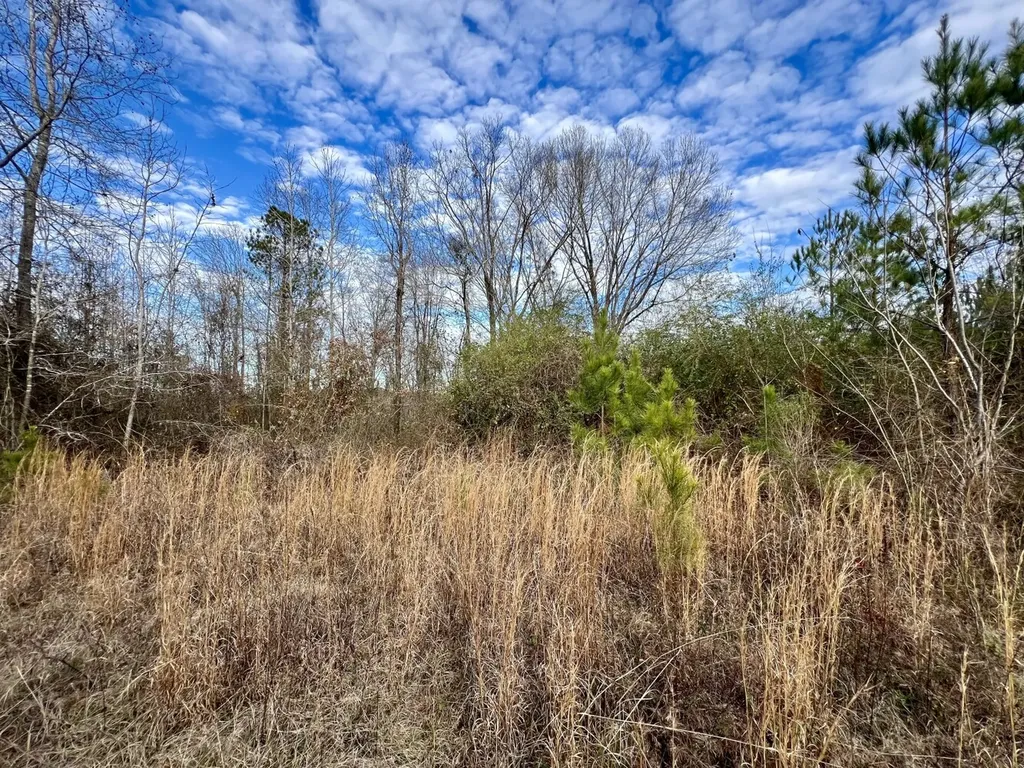 0 County Road 67 Thomasville AL 36769