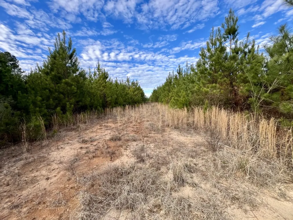 0 County Road 67 Thomasville AL 36769