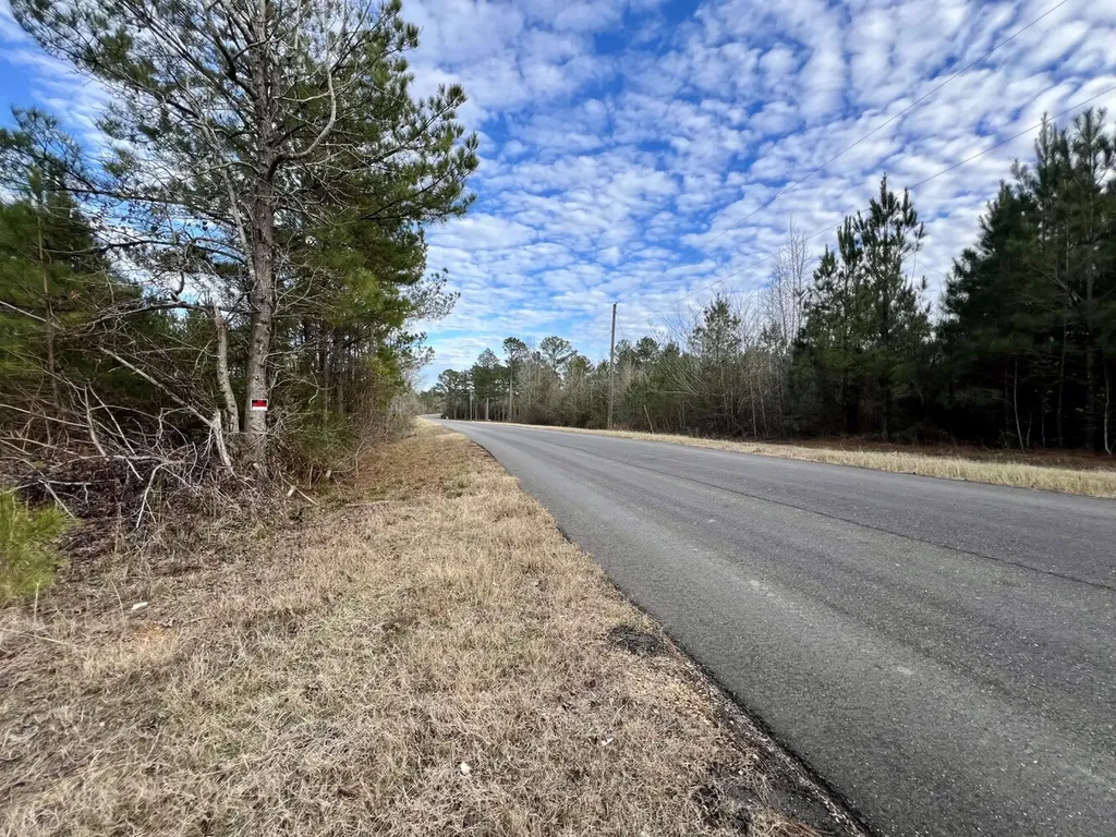 0 County Road 67 Thomasville AL 36769