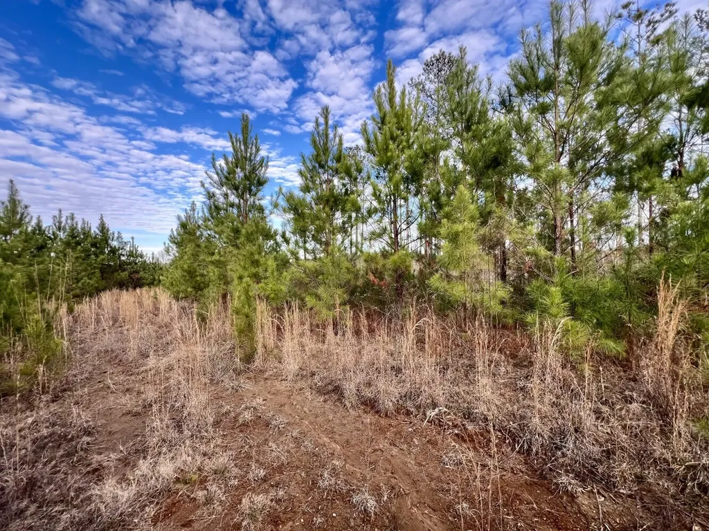 0 County Road 67 Thomasville AL 36769