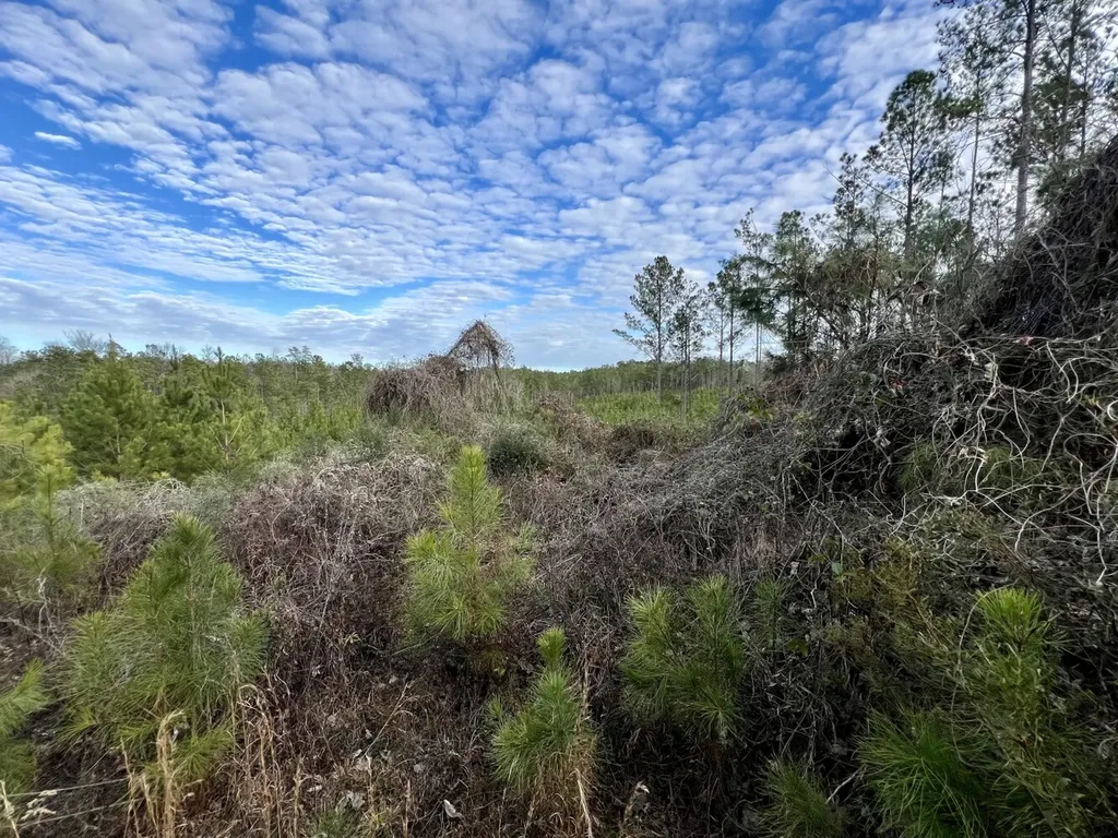 0 County Road 67 Thomasville AL 36769