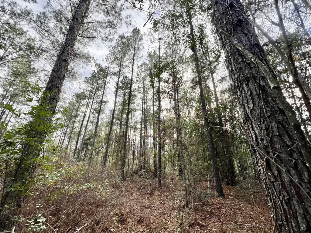 0 Highway 10 Pine Hill AL 36769