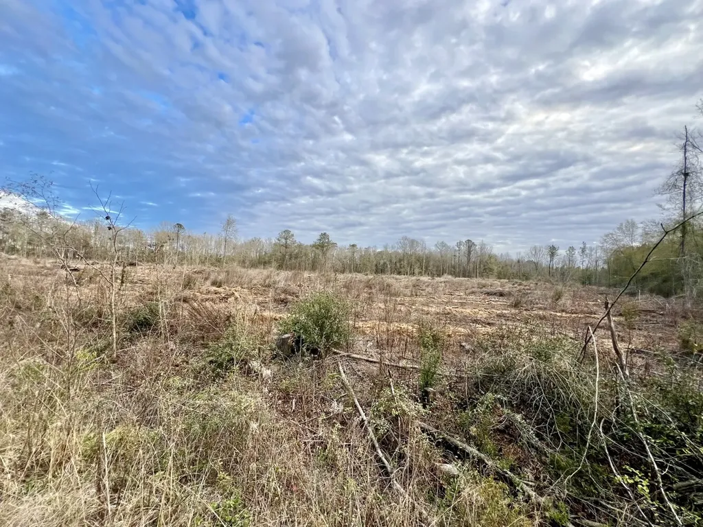 0 Highway 10 Pine Hill AL 36769