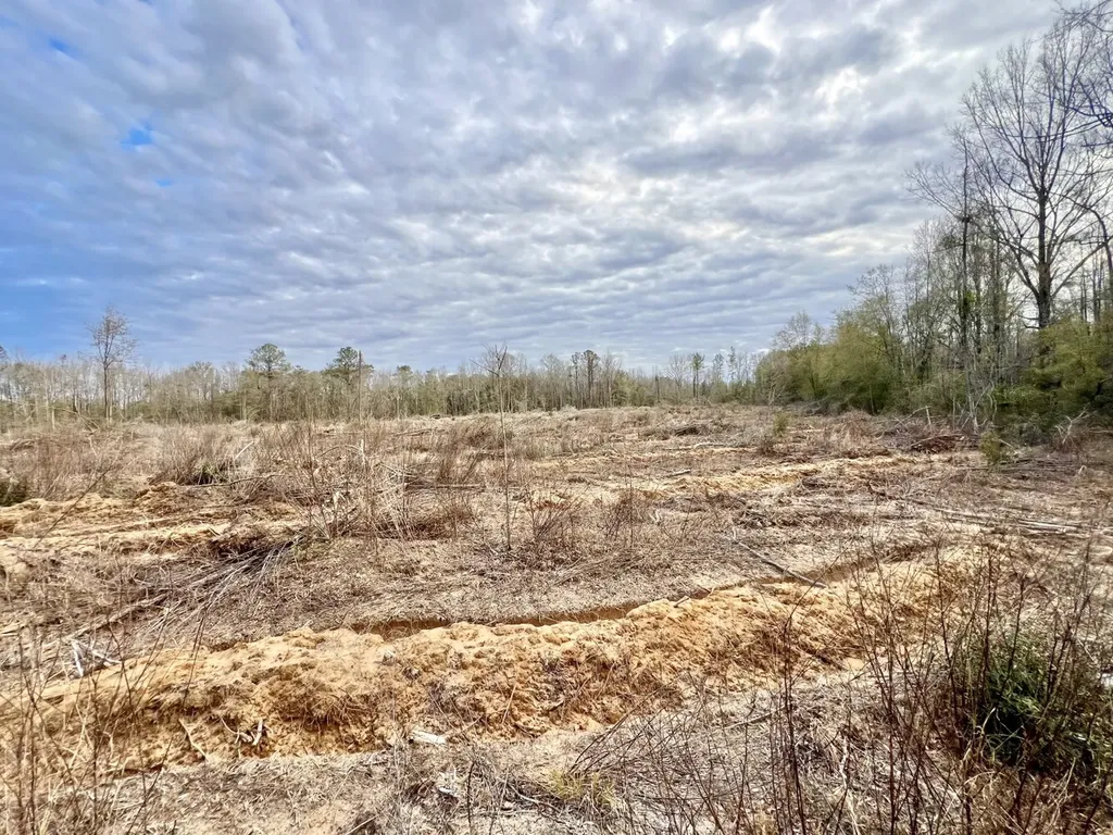 0 Highway 10 Pine Hill AL 36769