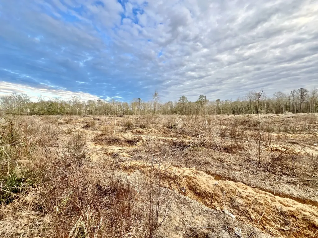 0 Highway 10 Pine Hill AL 36769