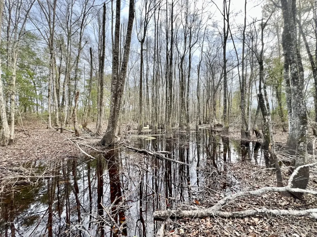 0 Highway 10 Pine Hill AL 36769