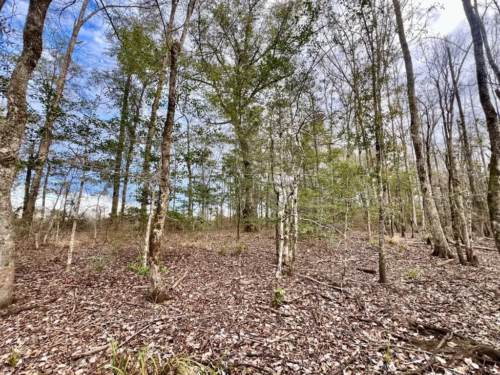 0 Highway 10 Pine Hill AL 36769