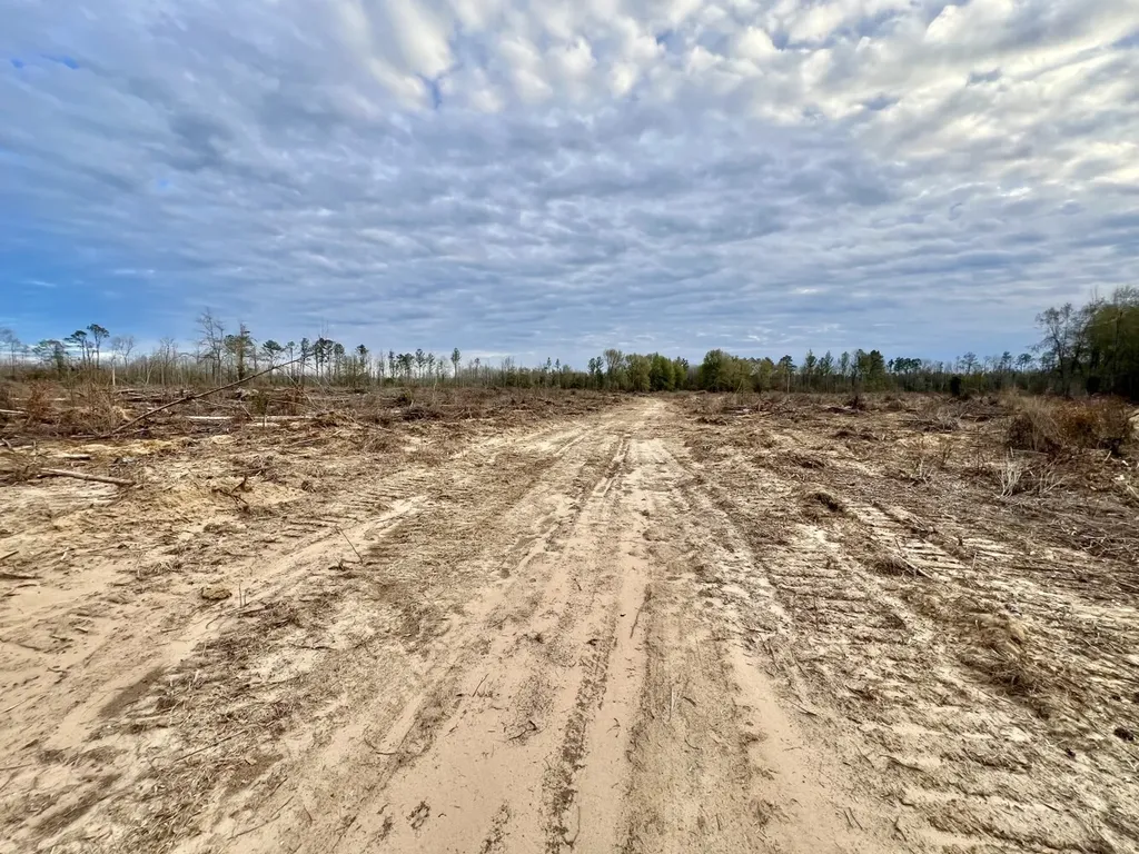 0 Highway 10 Pine Hill AL 36769