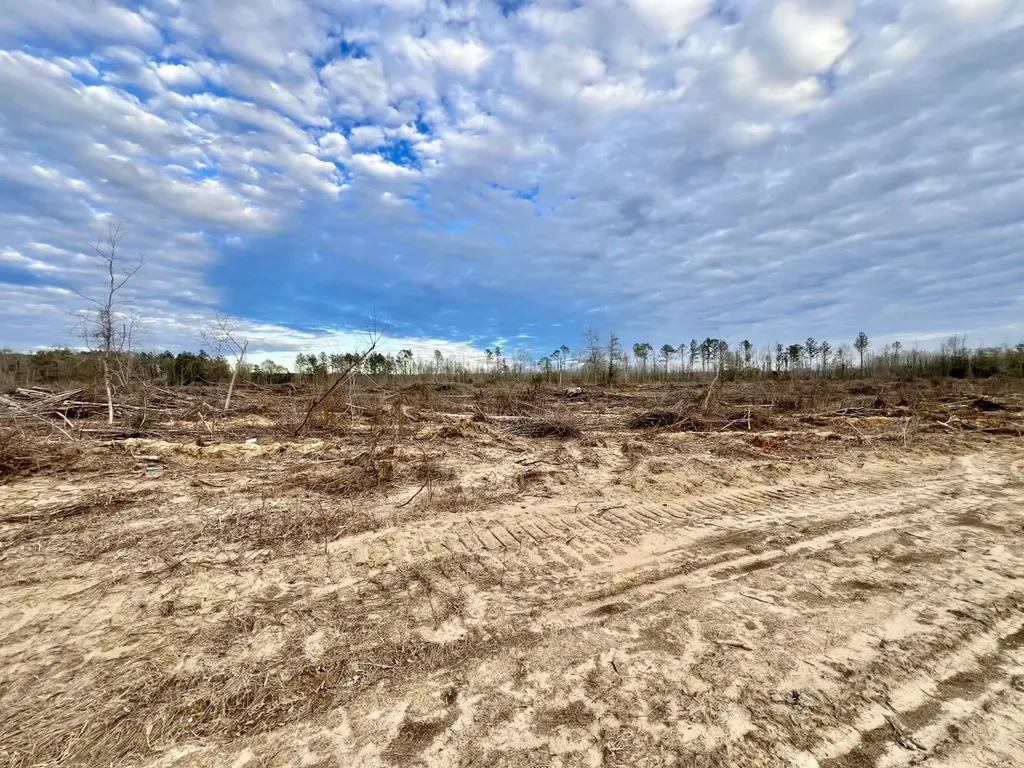 0 Highway 10 Pine Hill AL 36769