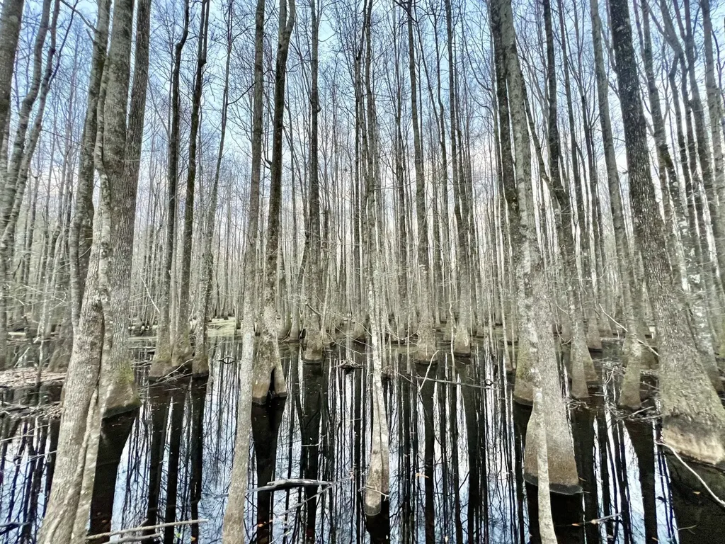 0 Highway 10 Pine Hill AL 36769