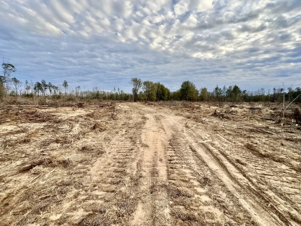 0 Highway 10 Pine Hill AL 36769