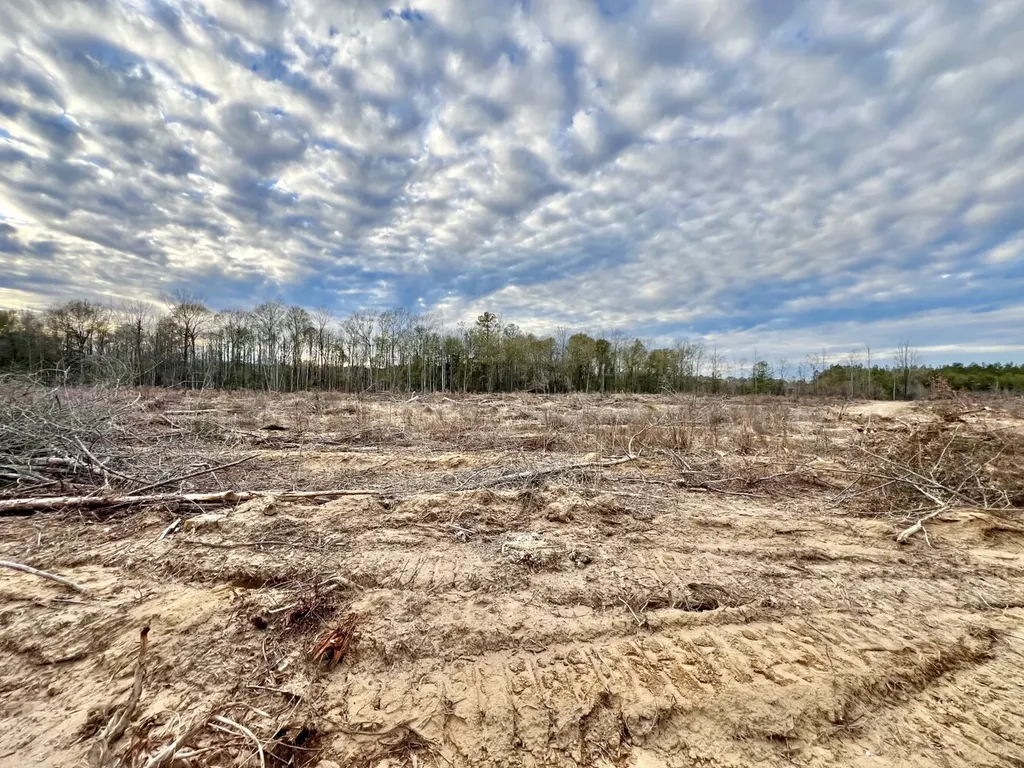 0 Highway 10 Pine Hill AL 36769