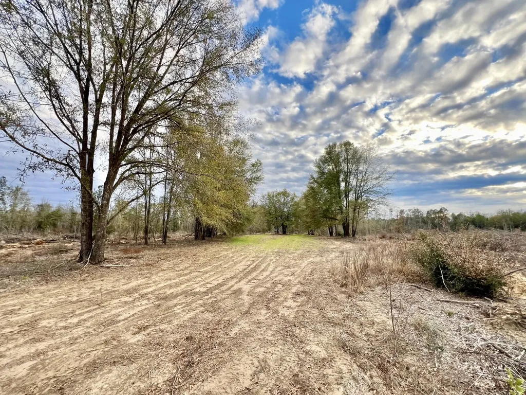 0 Highway 10 Pine Hill AL 36769