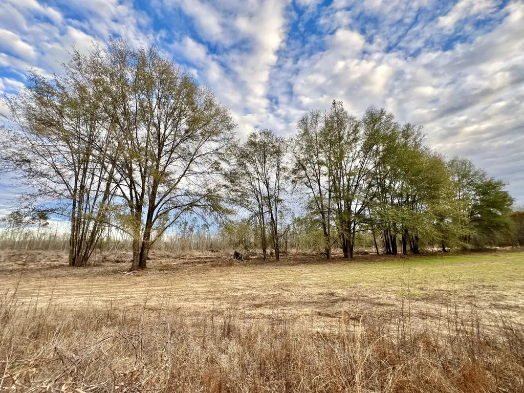 0 Highway 10 Pine Hill AL 36769