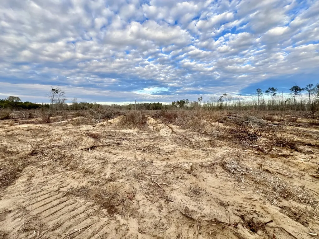 0 Highway 10 Pine Hill AL 36769