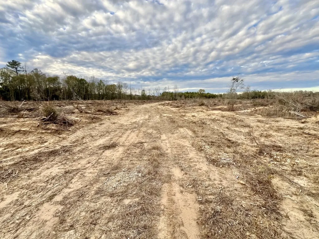 0 Highway 10 Pine Hill AL 36769