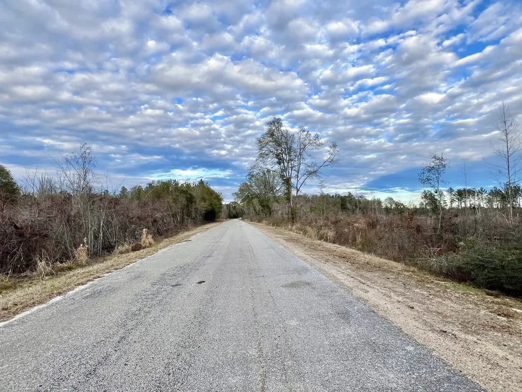 0 Highway 10 Pine Hill AL 36769