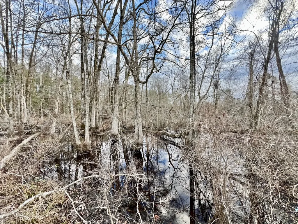 0 Highway 10 Pine Hill AL 36769