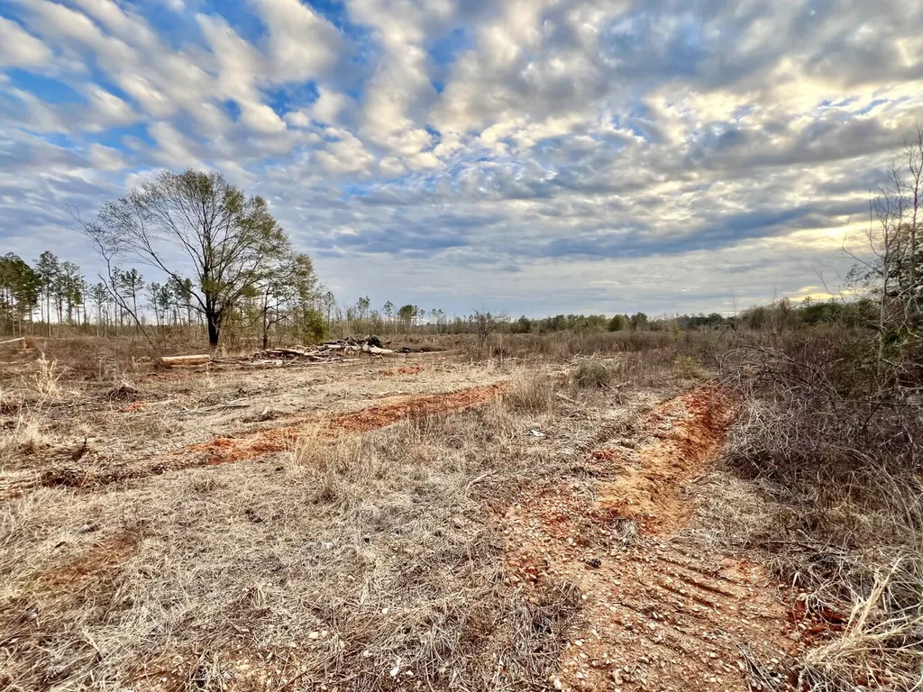 0 Highway 10 Pine Hill AL 36769