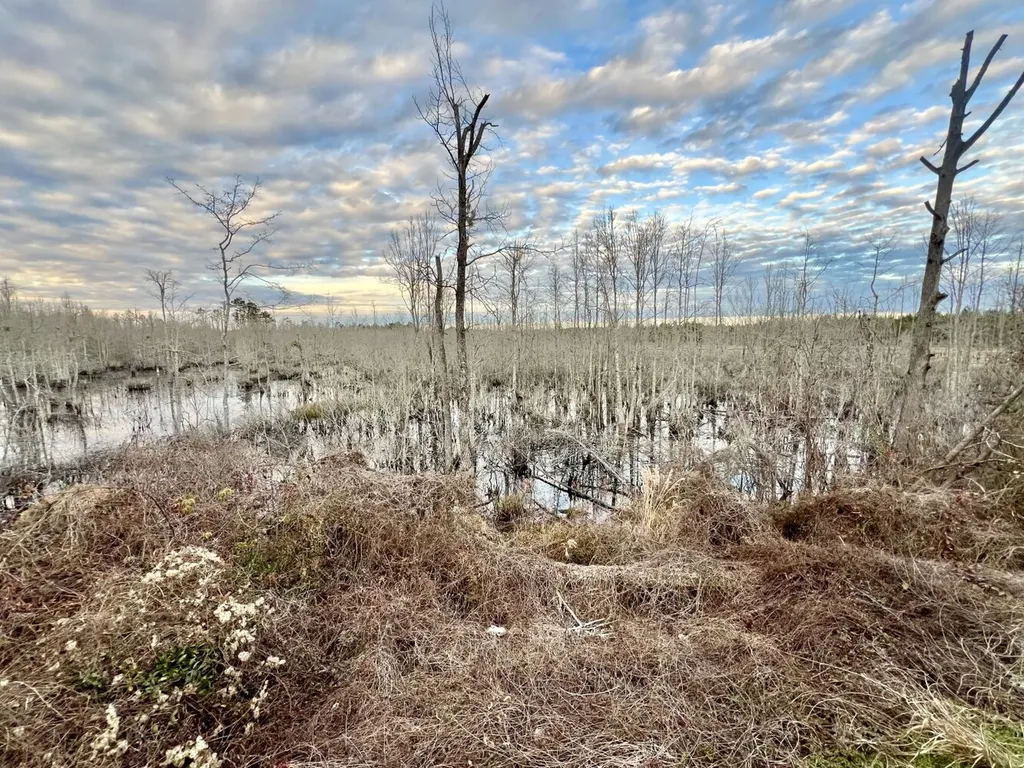 0 Highway 10 Pine Hill AL 36769