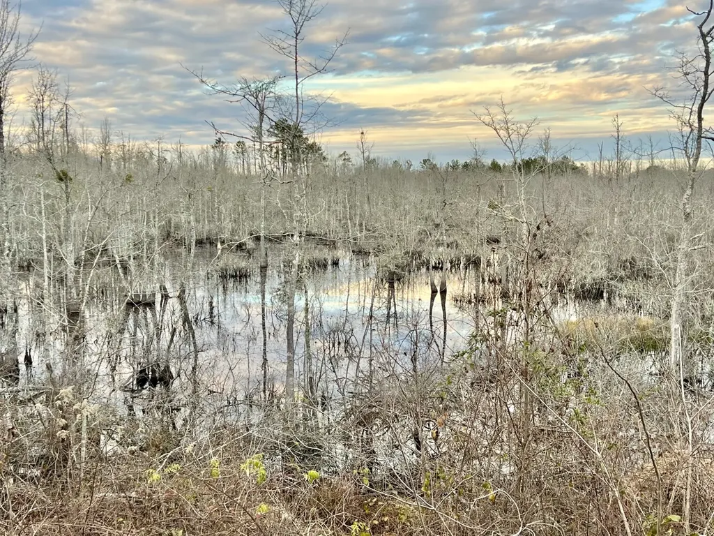 0 Highway 10 Pine Hill AL 36769