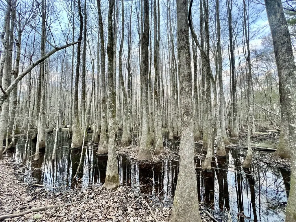 0 Highway 10 Pine Hill AL 36769