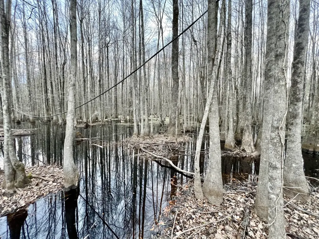 0 Highway 10 Pine Hill AL 36769