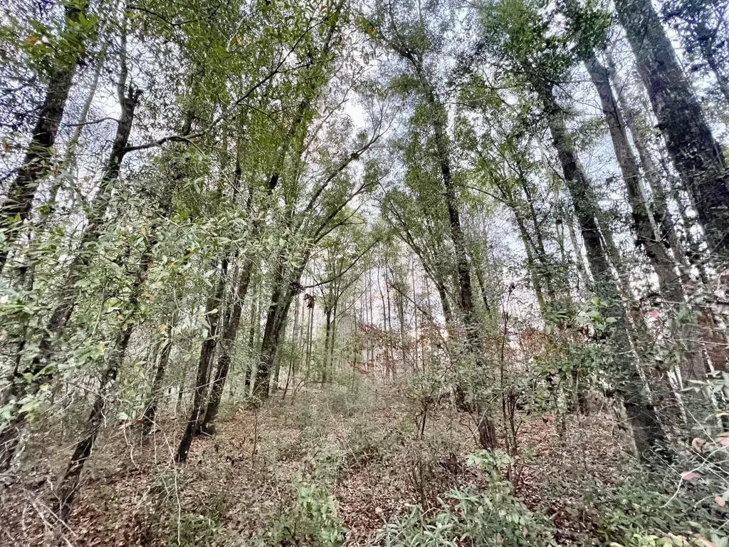 0 Highway 10 Pine Hill AL 36769