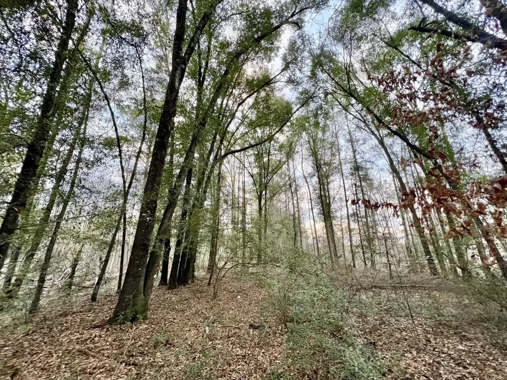 0 Highway 10 Pine Hill AL 36769