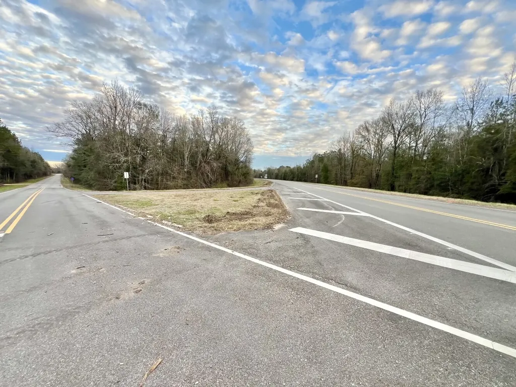 0 Highway 10 Pine Hill AL 36769