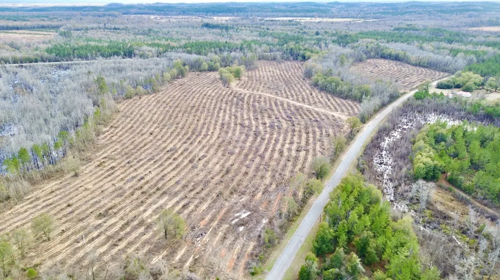 0 Highway 10 Pine Hill AL 36769