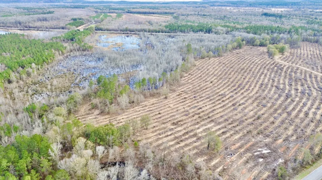 0 Highway 10 Pine Hill AL 36769