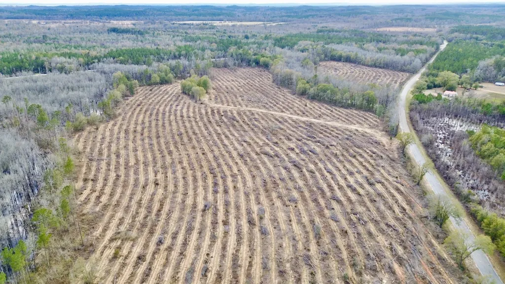 0 Highway 10 Pine Hill AL 36769