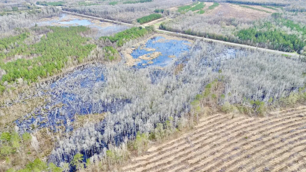 0 Highway 10 Pine Hill AL 36769