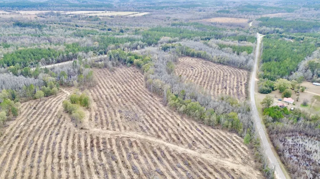 0 Highway 10 Pine Hill AL 36769