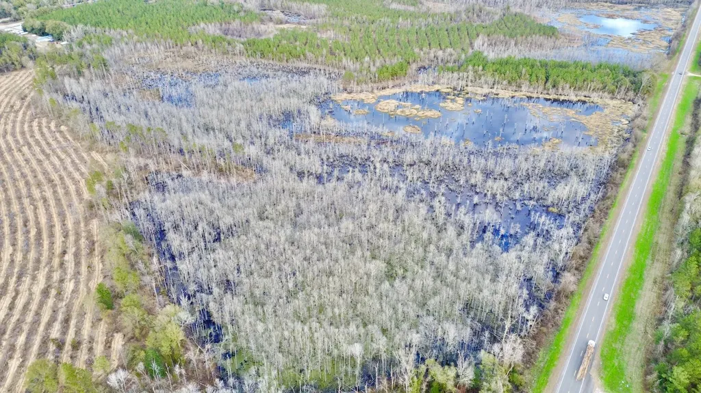 0 Highway 10 Pine Hill AL 36769