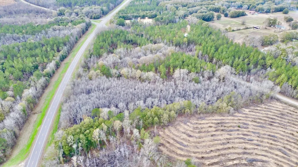 0 Highway 10 Pine Hill AL 36769