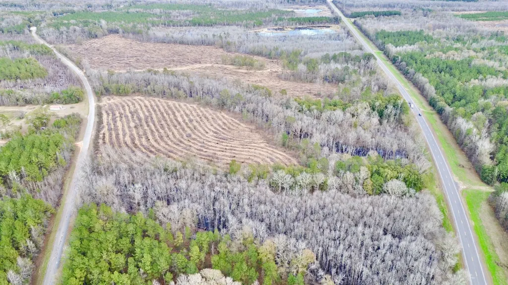 0 Highway 10 Pine Hill AL 36769