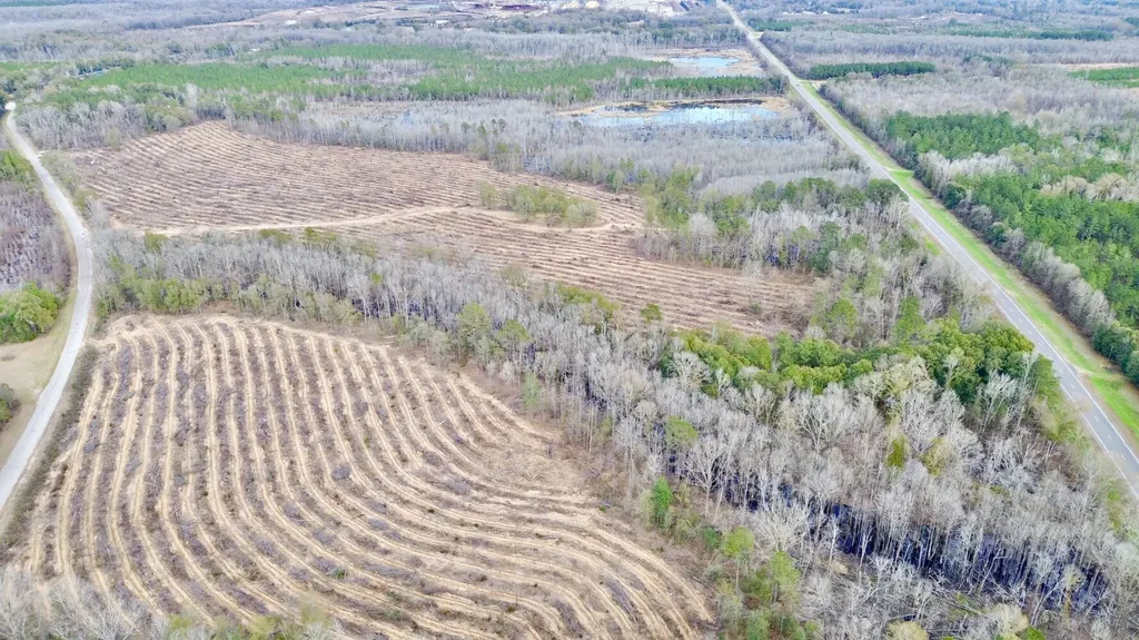 0 Highway 10 Pine Hill AL 36769