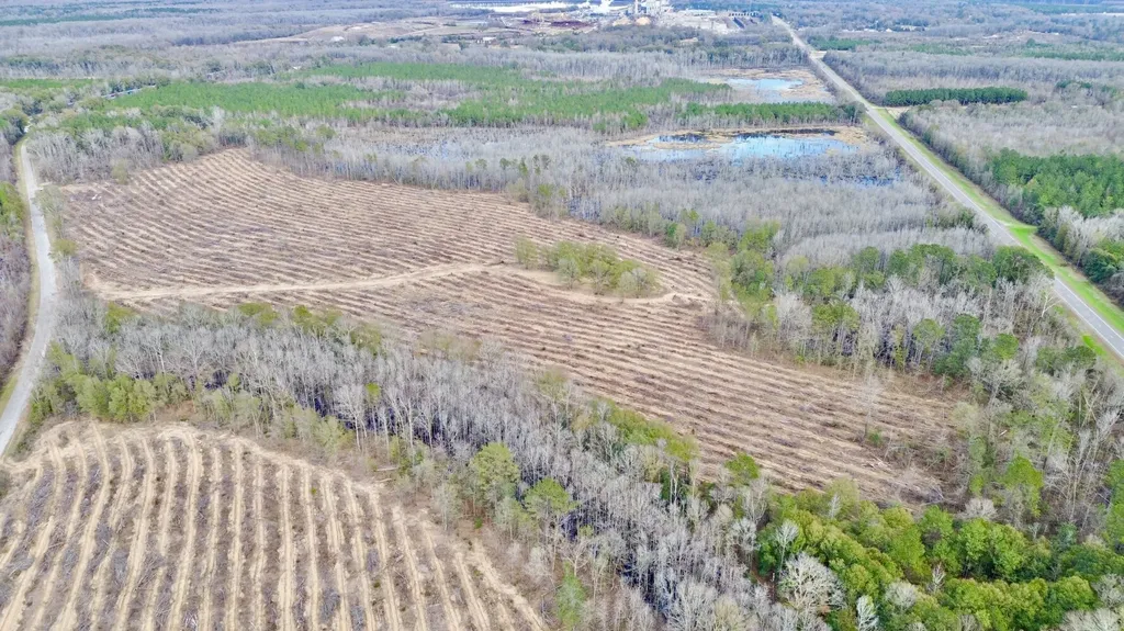 0 Highway 10 Pine Hill AL 36769