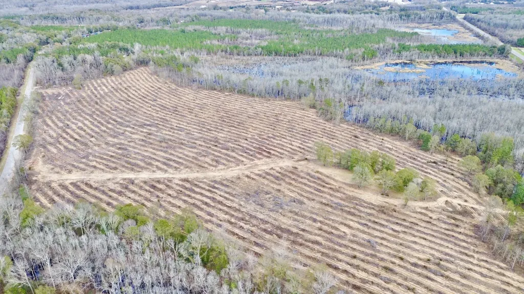 0 Highway 10 Pine Hill AL 36769