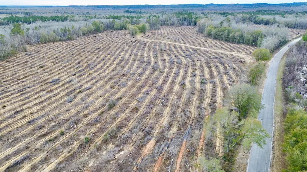 0 Highway 10 Pine Hill AL 36769