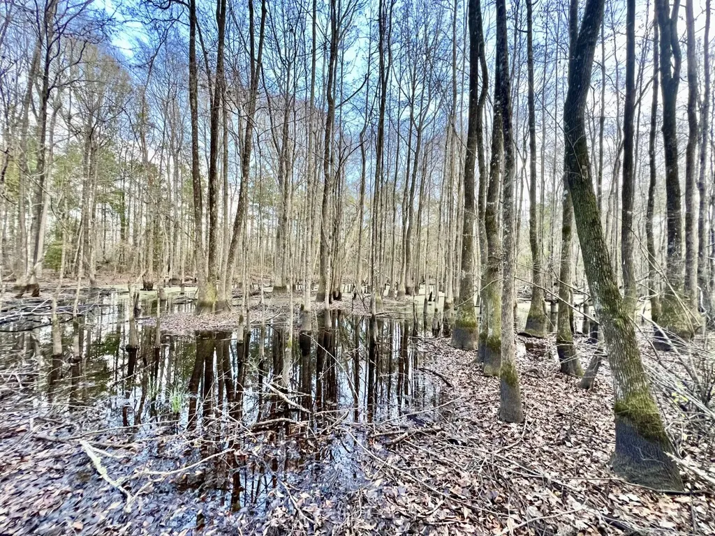 0 Highway 10 Pine Hill AL 36769