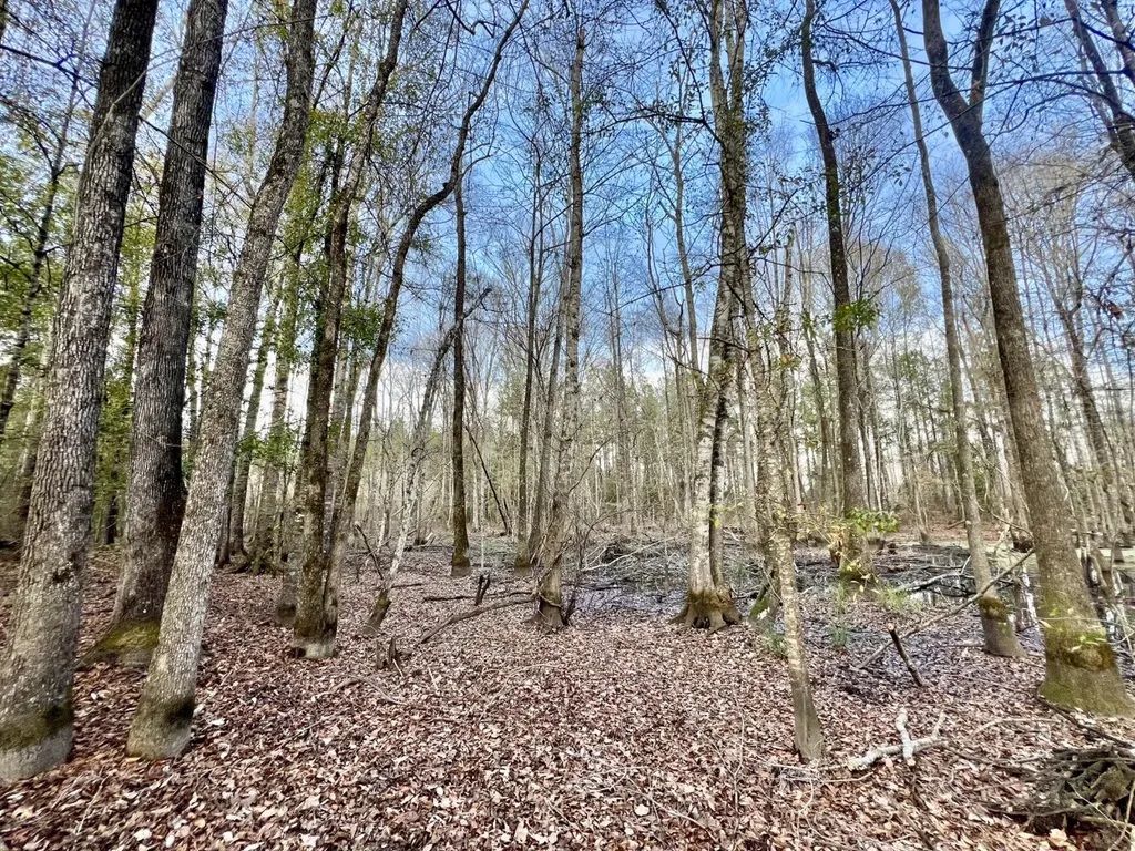 0 Highway 10 Pine Hill AL 36769